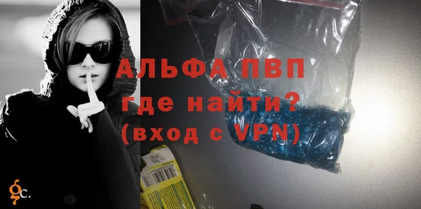 индика Баксан