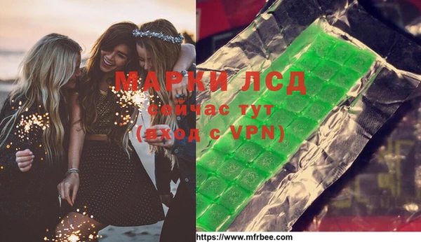 индика Баксан