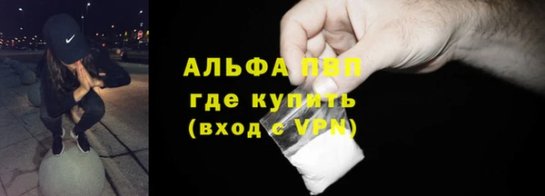 индика Баксан