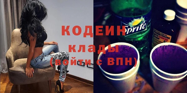 индика Баксан