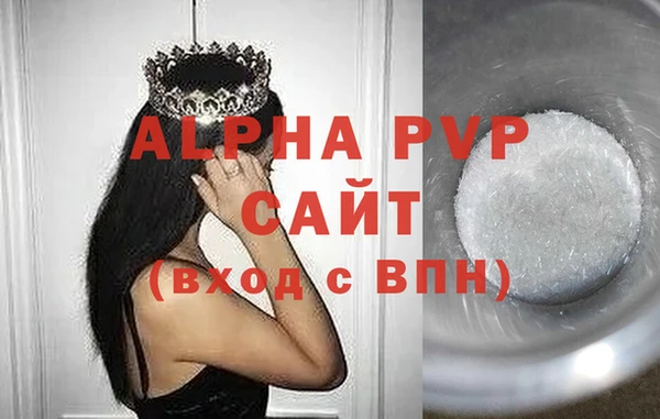 индика Баксан